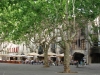 40_uzes